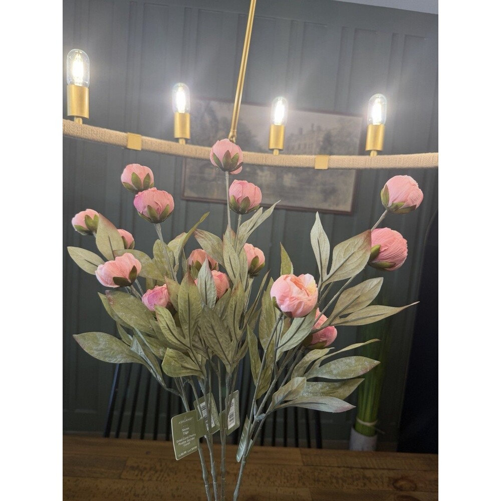 Set of 4 Viral Ashland Coral Peony Stems From Michael’s NEW 2026